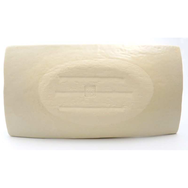 Potamoto SOUSEN Seto Ware Fish Rectangular Plate (Medium) Alignment