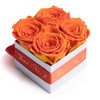 ROSEMARIE SCHULZ Heidelberg Rose Box Individual with Desired Text Infinity