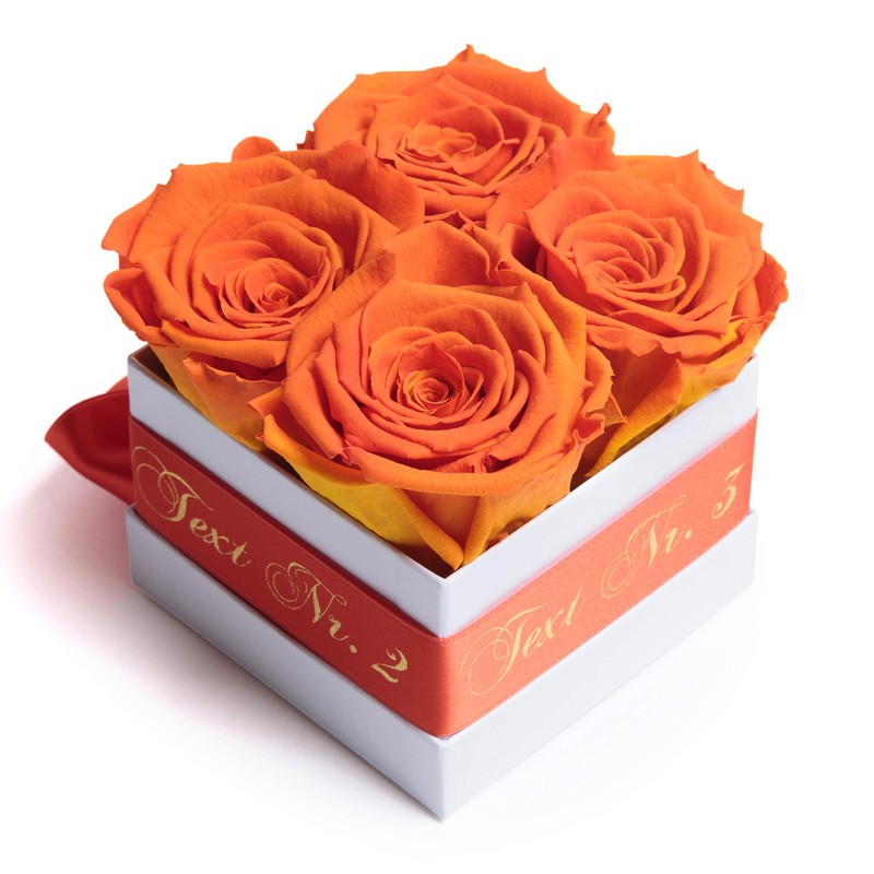 ROSEMARIE SCHULZ Heidelberg Rose Box Individual with Desired Text Infinity