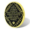 Leafence Phoenix Recovery Coin with Serenity Prayer Commemorative Addiction Recovery