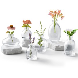 Ninehaoou Glass Bud Vases Set of 6, Small Clear Flower Vases for Wedding Centerpiece Vintage Mini Glass Flower Bottles for Floral Arrangement Party Home Office Dining Table Decor
