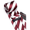 HISDERN Men's Tie Striped Wedding Tie & Pocket Square Set,