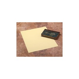 Gaylord Archival® 19 pt. Heavy-Weight Folder Stock (10-Pack)