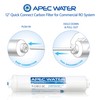 APEC Water Systems 12" Commercial Grade US Made Inline Carbon