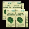 Curly Kale Curly Kale Powder Freeze Dried Organic 56 Packets