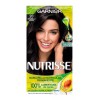 Garnier Tinte De Cabello Garnier Nutrisse 20 Grosella Negra