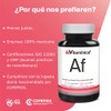 Vitaminica Ácido Fólico Cápsulas 390 Vitamina Por Cápsula Días