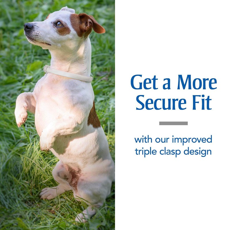 PetArmor Flea & Tick Collar for Dogs, Kills Fleas &