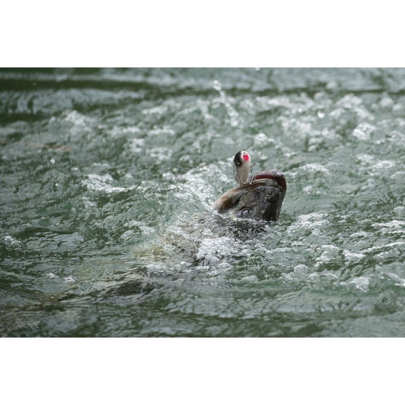 Cane Walker Olive Shad 125 (5/6 oz)