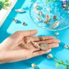 Boutigem 18Pcs Natural Shell Pendants Electroplated Cowrie Shell Charms Ocean
