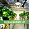 JMXULONG Outdoor LED Grow Lights, Waterproof String Grow Light, Full