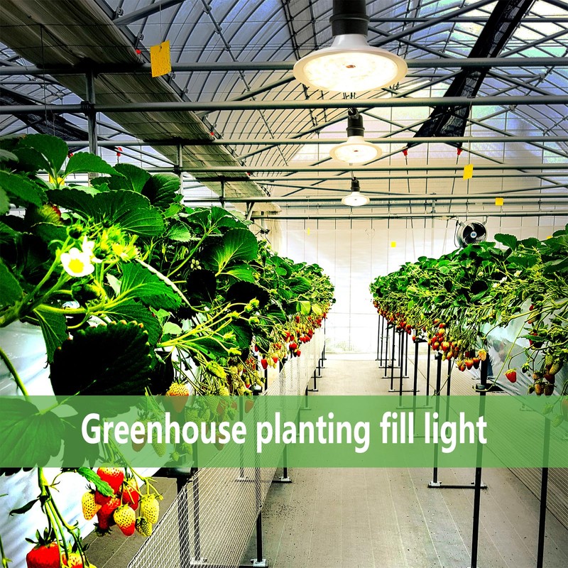 JMXULONG Outdoor LED Grow Lights, Waterproof String Grow Light, Full