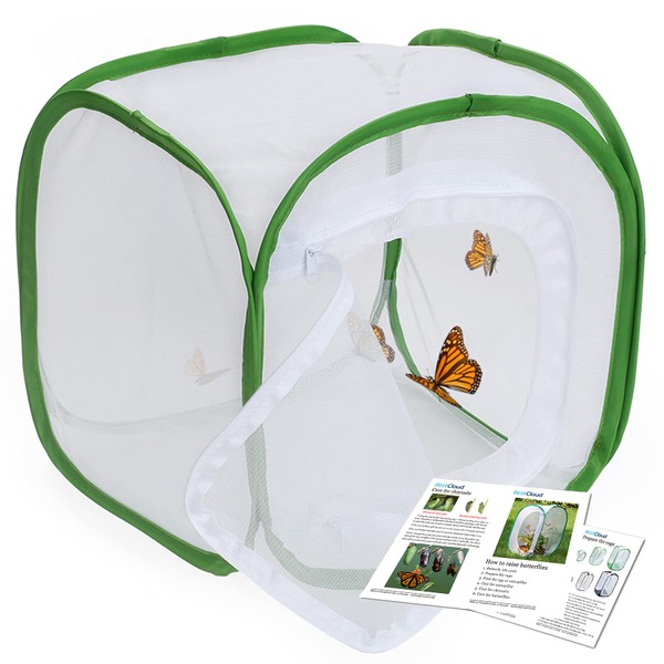 RESTCLOUD RESTCLOUD Insect and Butterfly Habitat Cage Terrarium Pop-up 12