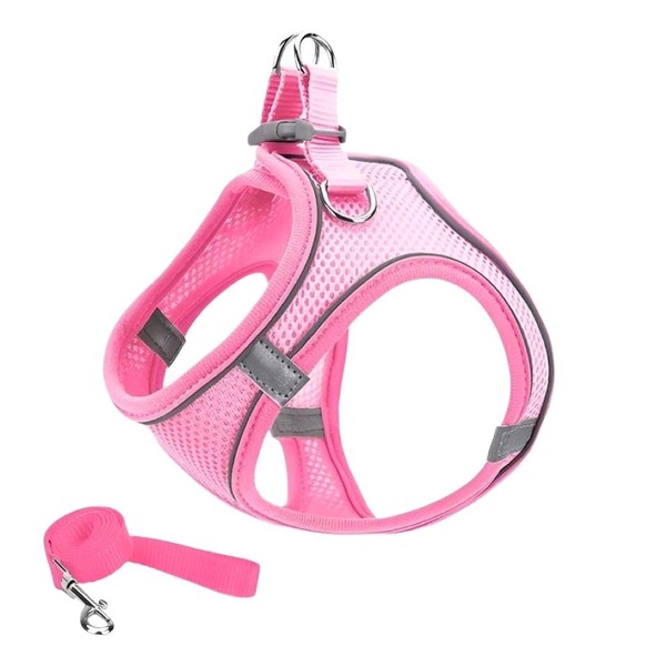 PetGround Dog Harness, Ultra Small Dogs, Puppies, Lightweight, Includes Lead,