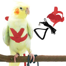 Dnoifne Pet Parrot Bird Harness and Leash, Adjustable Training Design Anti-Bite, Bird Nylon Rope with Cute Wing for Parrots, Suitable for Scarlet, Keck, Mini Macaw and Same Size Birds (red)
