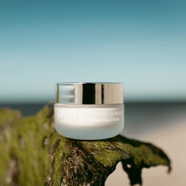GREY Berlin Vitalising Seaweed Great Day Cream, Moisturising Anti-Ageing Cream with Icelandic Algae, Face Care Also for Dry Skin, Vegan Natural Cosmetics Made in Germany