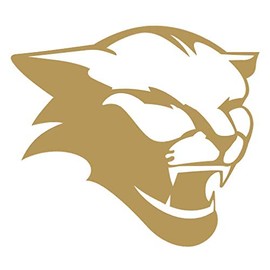 Cougar Head y0216 Vinyl Sticker Decals (Pack of 2) for Car Window Laptop Phone (8" x 7.2", Gold)