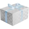 Jillson Roberts Bulk Gift Wrapping Paper, Two-Sided Pearl Dot &