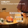 HISUNY Himalayan Rock Salt Lamp, Natural Crystal Salt Light, Mini