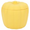 Ice Cube Maker Pumpkin Appearance Easy Operation Space Saving BPA