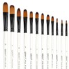 Dainayw 12 PCS Filbert Paint Brushes Set, Artist Brush for