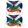 Totally Graphics 2 x Scottish Thistle Flags Stickers, Blue and