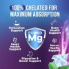 Health Nutrition Naturals Cápsulas Complejo Magnesio 500 Óxido Glicinato Malato