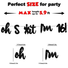 Oh I’m 16! Banner Backdrop Glitter Black Hallo Sixteen Cheers to 16 Years Old Theme Decor for Man Woman Happy 16th Birthday Party Photo Studio Prop Flag Decorations Favors Supplies