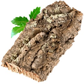 Cork Bark Cork Piece, 30 x 15 cm (Natural Cork, Decorative Cork) Cleaned & Disinfected - Ideal for Pets (Rodents + Birds) or Crafts & Hobby (Model Making), Untreated Bark from Cork Oak, Flat