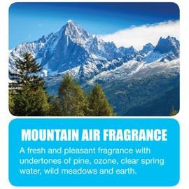 Big D 1358 Water Soluble Deodorant, Mountain Air Fragrance, 1 Gallon (Pack of 4) - Add to any cleaning solution - Ideal for use in hotels, food service, health care, schools and institutions