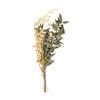 Rayher Mazzo di fiori secchi, verde pino, 18-20cm, bus.blis. 1pz,