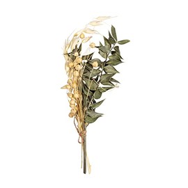 Rayher Mazzo di fiori secchi, verde pino, 18-20cm, bus.blis. 1pz, 85491430