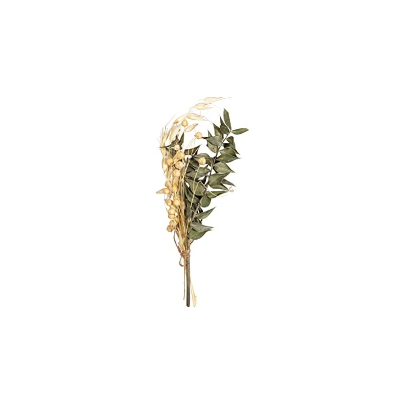 Rayher Mazzo di fiori secchi, verde pino, 18-20cm, bus.blis. 1pz,