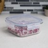 Michael Graves Design MG51737 Food Storage Container, Rectangle: 40 oz,