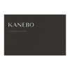 Kanebo Colored Shadow 01