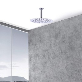 TRUSTMI Shower Arm with Flange 6 Inch Ceiling Mounted Straight Arm Extension for Fixed Shower Head, NPT 1/2 to G 1/2, Chrome