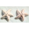 Generic Starfish Ceramic Salt & Pepper Shaker Set, 2.5 inches
