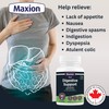 MAXION Maxion Digestive Support, 60 Capsules with Ginger, Peppermint and