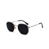QVKUUT Retro Polygon Sunglasses for Men and Women, Silver/black