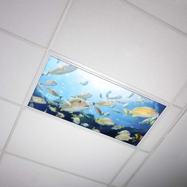 Fluorescent Light Cover for Classroom Ceiling Lights - Premium Backlit Film Insert 2x4 (22.38"x46.5") Florescent Fixture (Pack of 1) School, Office, Sensory, Improve Focus, Eliminate Headaches - Ocean