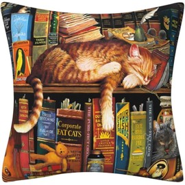 ZFENGYYUAN Cat Cushion Covers Lovely Bookshelf Sleeping Cat Gifts for Cat Lovers TWO Side Square Decor Pillow Cover Sofa Livingroom Bed Farmhouse Throw Pillow Case 18"x18"