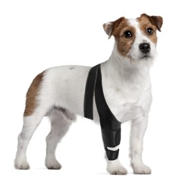 Oimmal Dog Knee Brace, Dog Leg Brace for ACL Support with Cruciate Ligament Injury, Knee Cap Dislocation, Joint Pain and Muscle Sore, Adjustable Dog ACL Brace with 10 Side Stabilizers, Pet Brace (M)