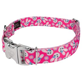Country Brook Petz - Premium Spring Bunnies Dog Collar and Leash - Spring Collection with 7 Springtime Designs (1 Inch, Medium)