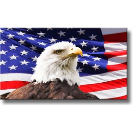 ArtWorks Decor American Eagle and US Flag Wall Picture on Stretched Canvas, Ready to Hang!.