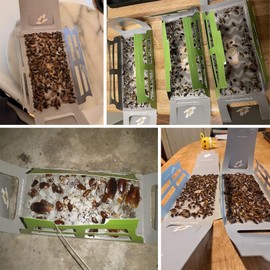Roach Trap (20Pack) -Cockroach Traps Indoor with Bait,Roach Motel -Child hild & Pet Friendly