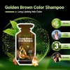 Herbishh Golden Brown Hair Dye Shampoo Kit with Argan Oil