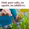 The Spice Way Garlic Salt - 1 lb. - seasoning