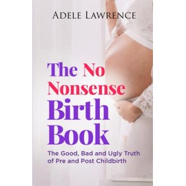 The No Nonsense Birth Book: The Good, Bad, and Ugly Truth of Pre and Post Child Birth