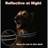 Reflective Nylon Dog Collar with Safety Buckle, Adjustable Pet Collars