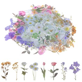 Oruola Pack of 160 Flower Stickers, Transparent Flower Stickers, Flower Stickers, Scrapbooking Stickers, Plant Stickers, PET Flower Stickers for DIY, Planner, Bullet Journals, Photo Album